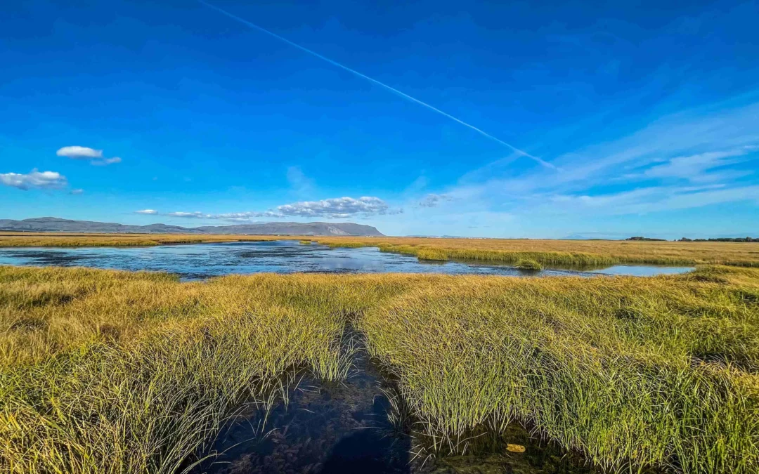 Fjármálaáætlun og hlýnun jarðar