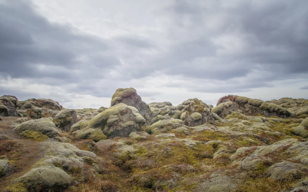 Losun Íslands – hver er staðan?